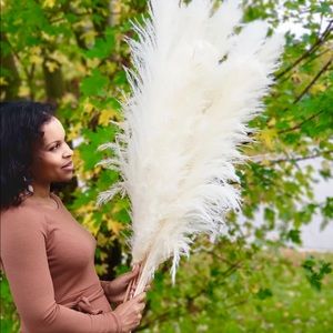 Tall 4 feet pampas grass, white, cream or grey fluffy and beautiful. All natural